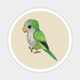 Very cute green parrot Magnet